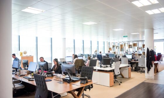 Continuous Learning Strategies for Professionals