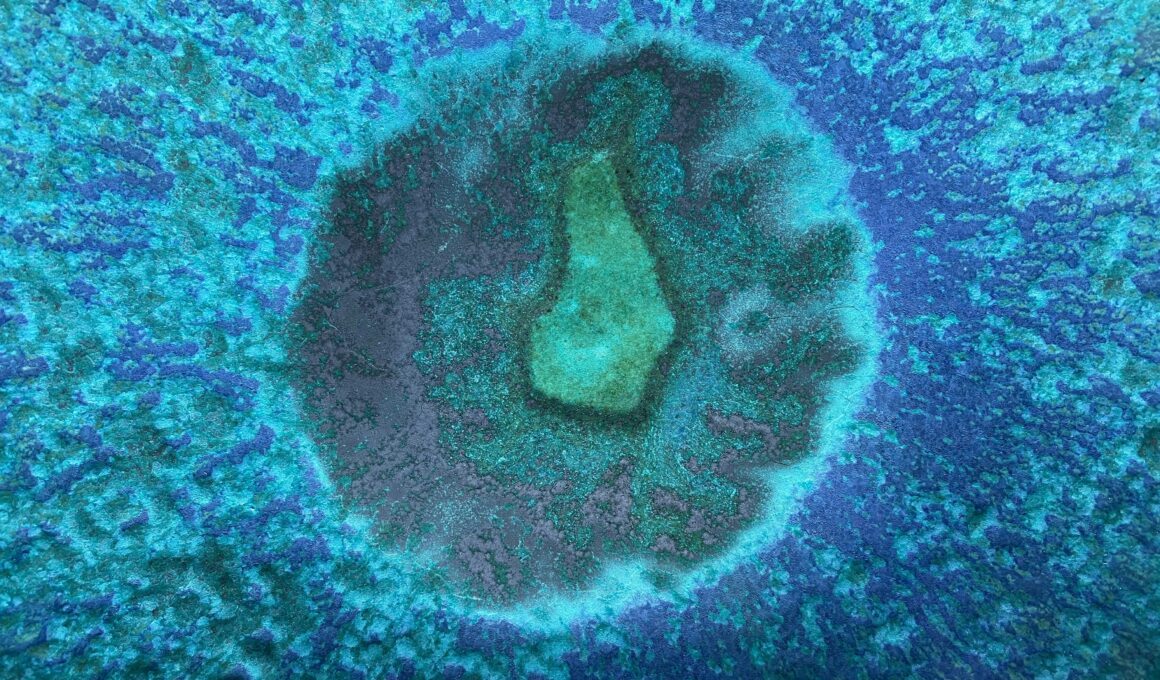 Why Good Embryos Still Don’t Implant